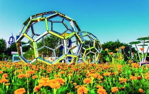 镇标公园环境优美,绿植茂密。