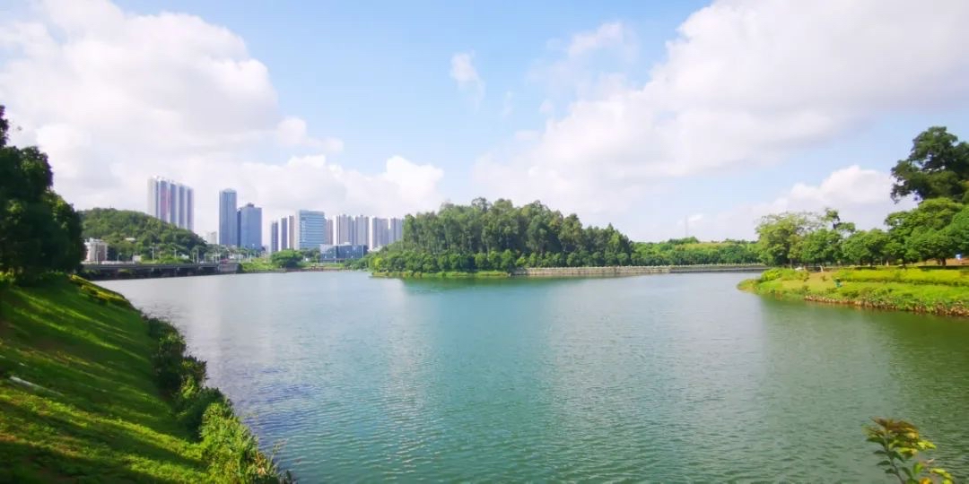 從金山大道入口進入金山湖文化公園,一幅碧水青山映襯藍天白雲的美景