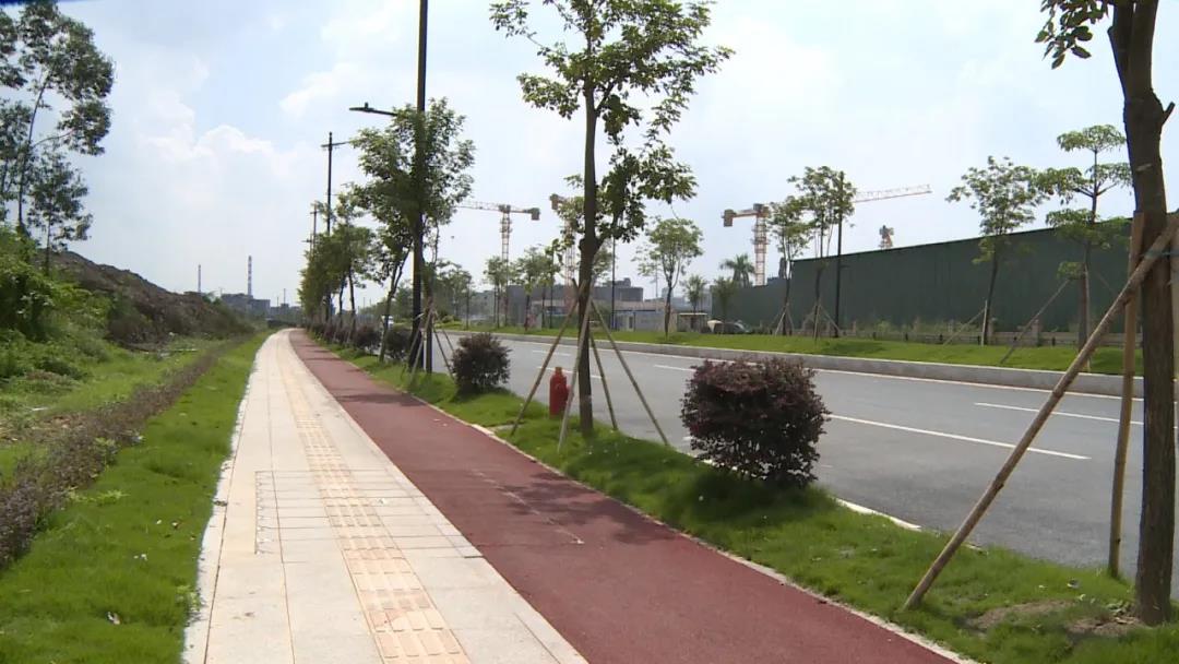 广州增城西宁路东洲段临江大道至东洲大道段通车