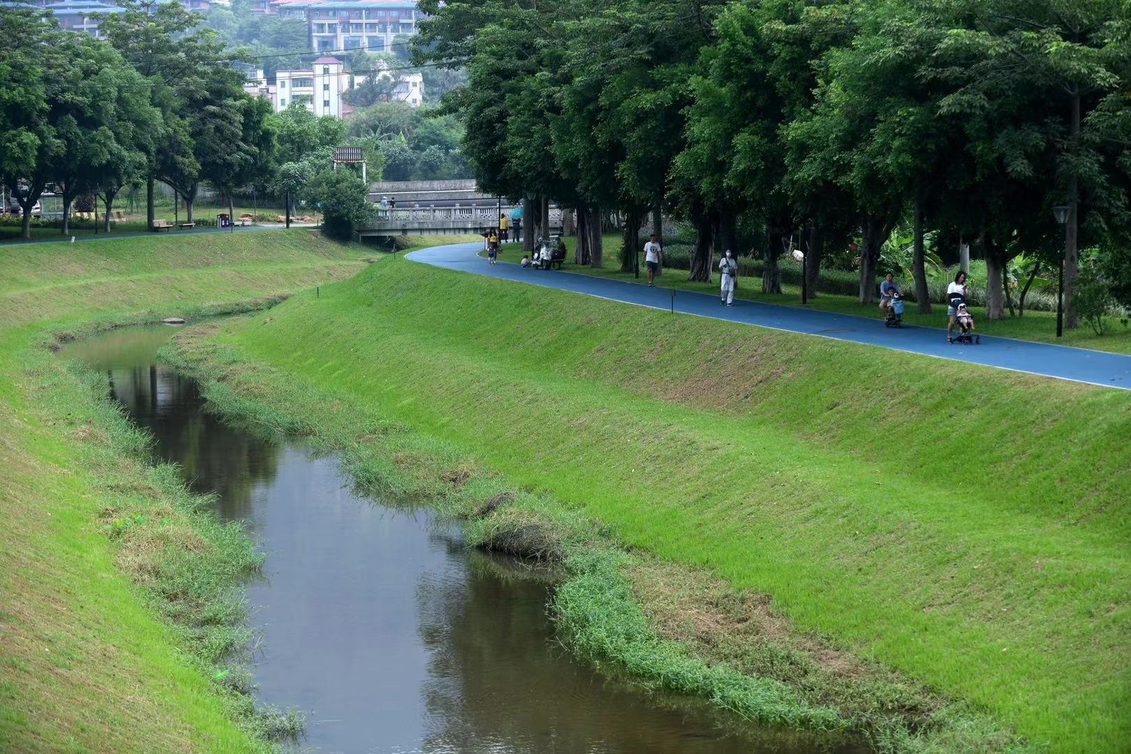 广州黄埔:昔日黑臭河涌焕发新颜