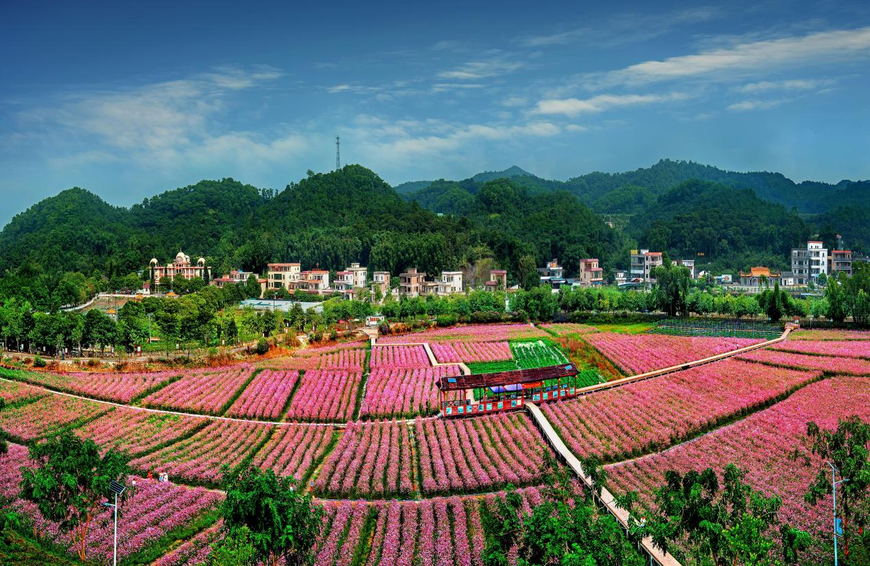 是花都區較為成熟,旅遊資源最為豐富的示範帶,依託埔嶺村雁鷹湖森林谷