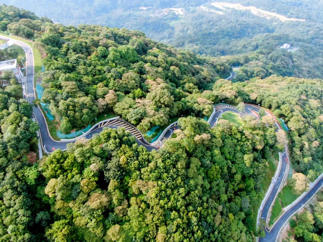 黄埔登山步道丛林探险如诗如画的城市绿心藏不住了
