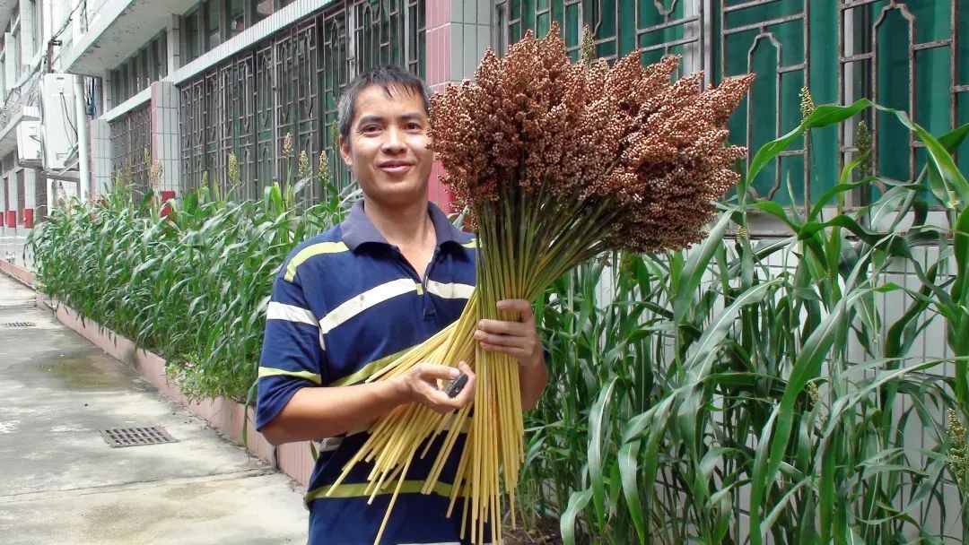 长湴小学有个种植园,学生当"小农夫",收获果实累累!