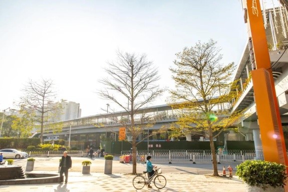 私家天桥与升级改造后的逸彩路