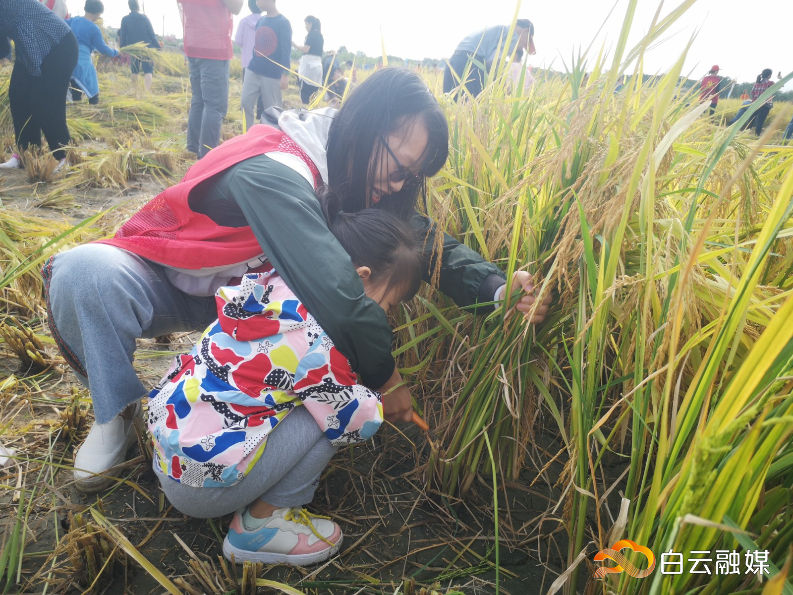 512_1695.MXF.02_39_18_24.Still001 512_1695.MXF.02_39_18_24.Still001