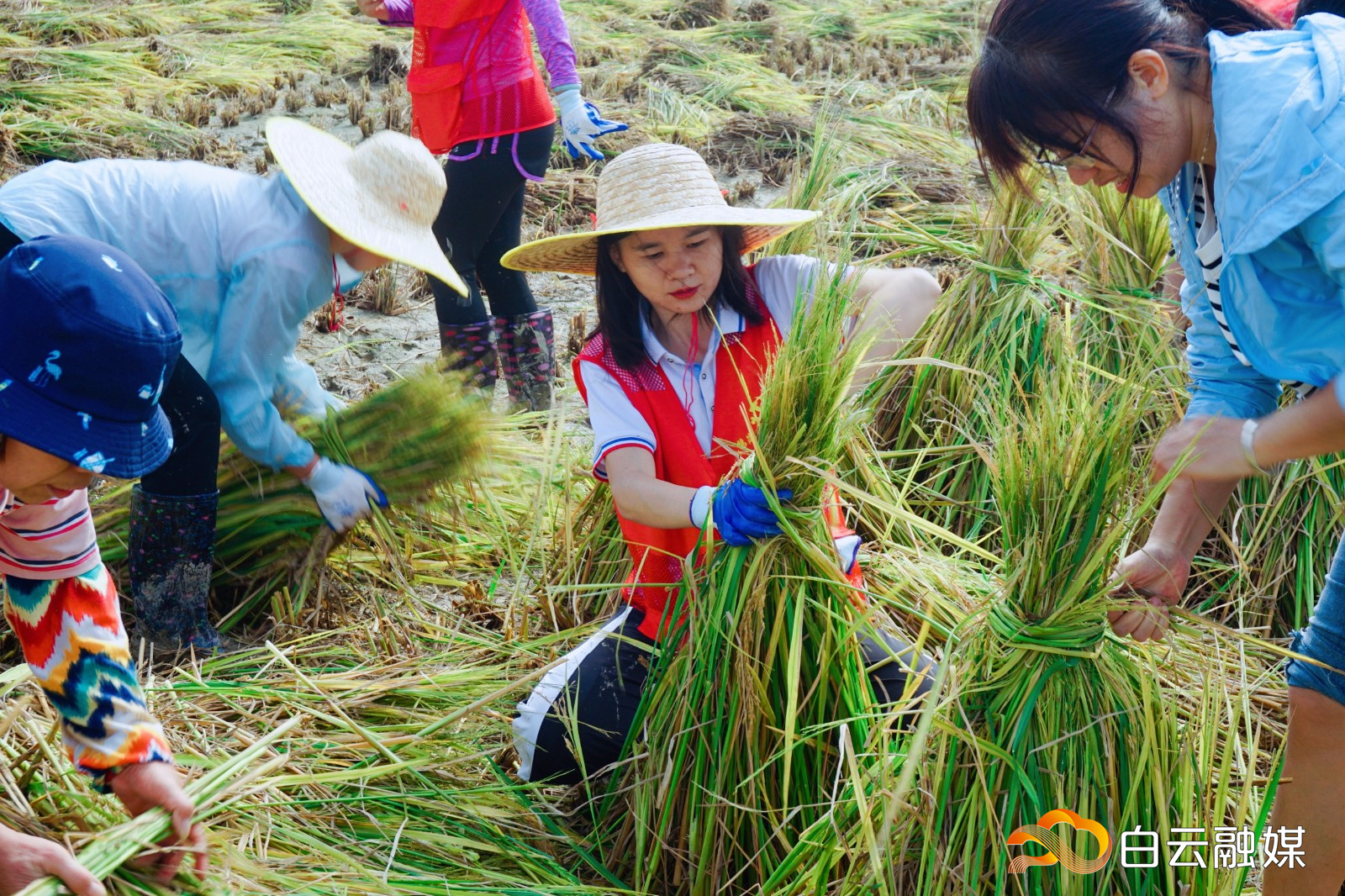 512_1695.MXF.02_39_18_24.Still001