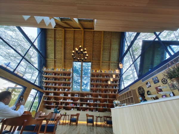 湿地岛上的诗与远方清远佛冈首个森林书吧开放