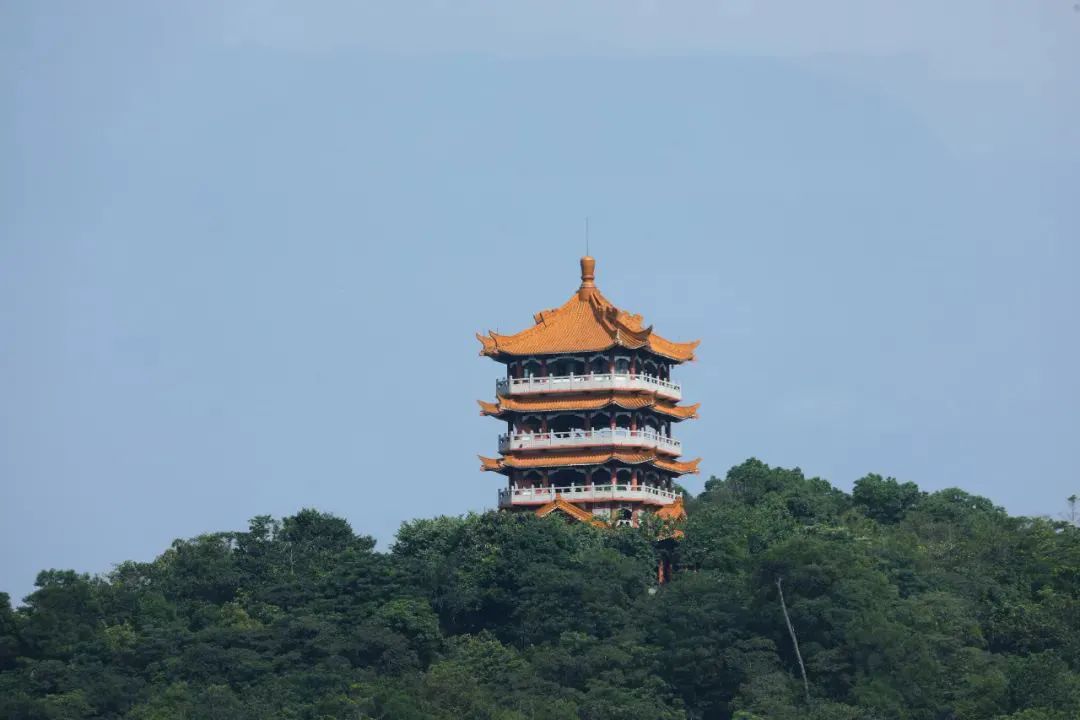 鸿鹄楼.jpg 图片