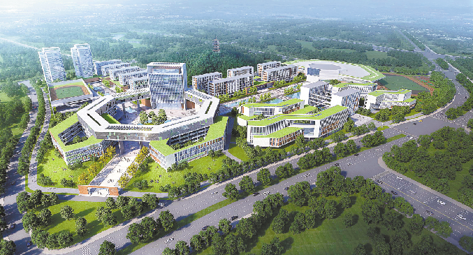 1637217874150033823.png image.png