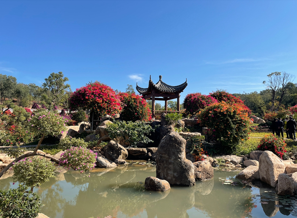 鄉村振興項目花都馬嶺觀花植物園即將竣工,青山綠水間處處花香鳥語