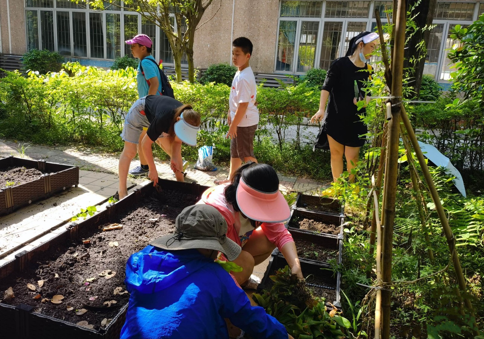 2开垦:撸起袖子大干一场