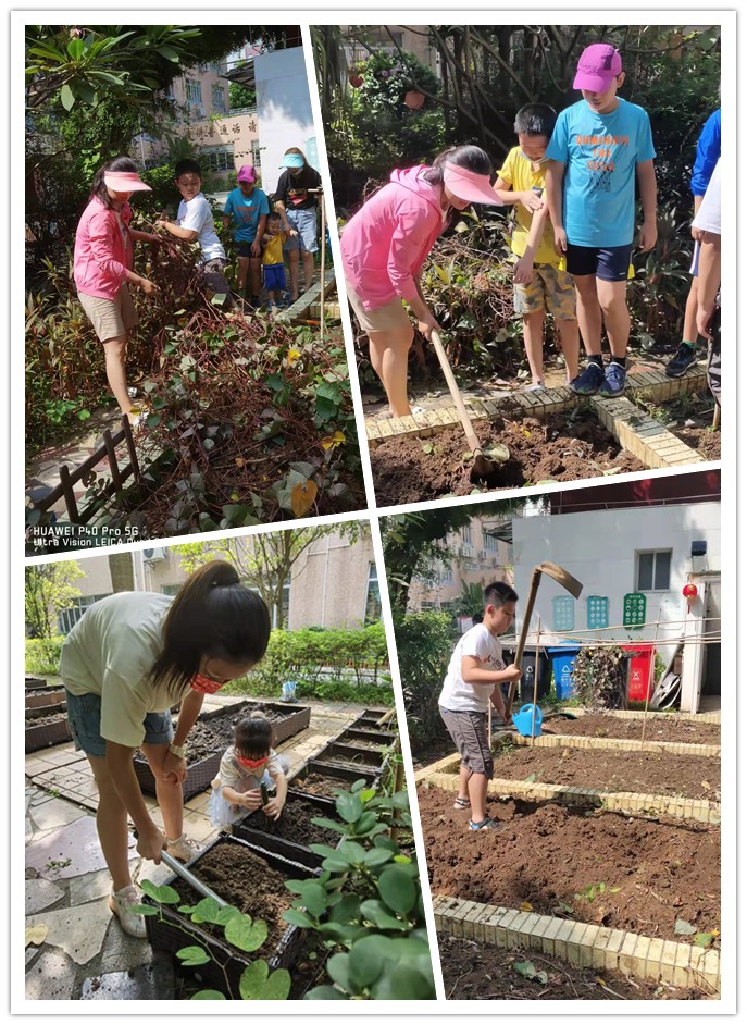 1开垦:小手加大手,除草松土
