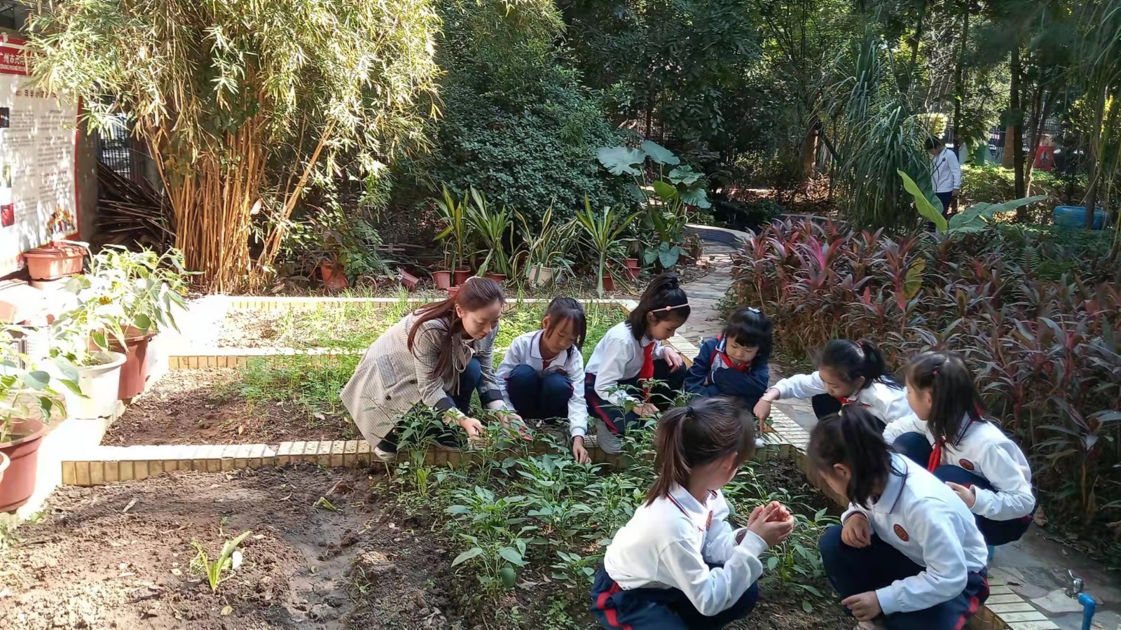 20关爱:用心细心,守护成长