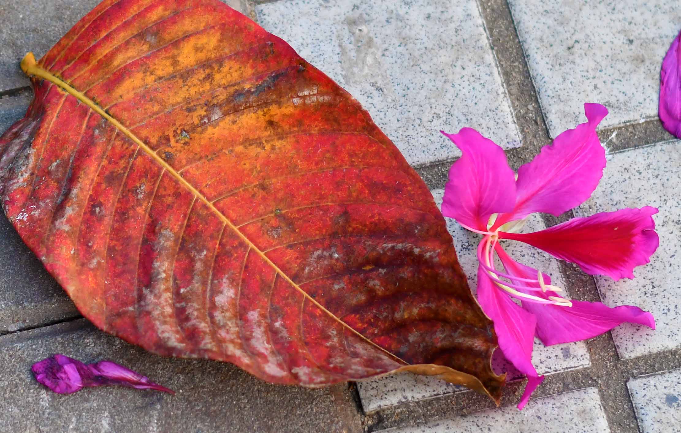 黎旭阳-天气\冬至。回暖-FZ10023749771