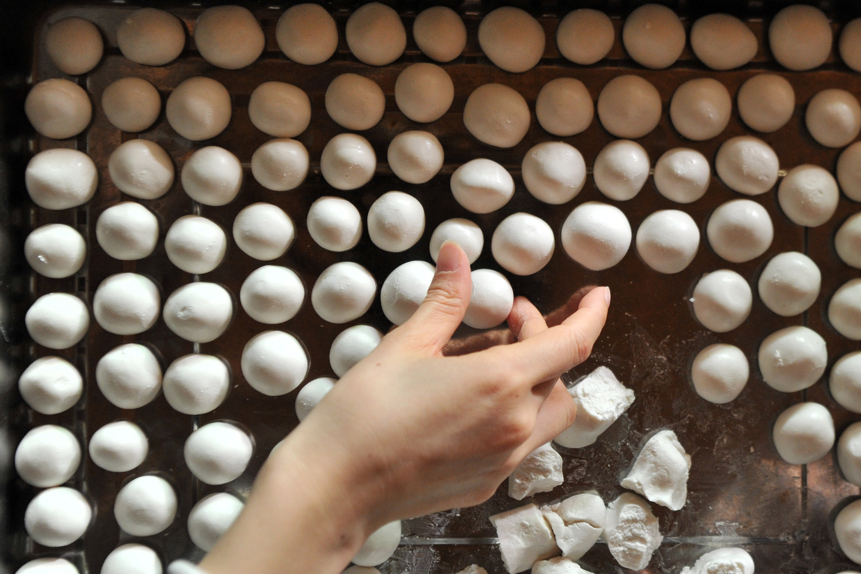 杨耀烨-冬至吃汤圆-FZ10023748237