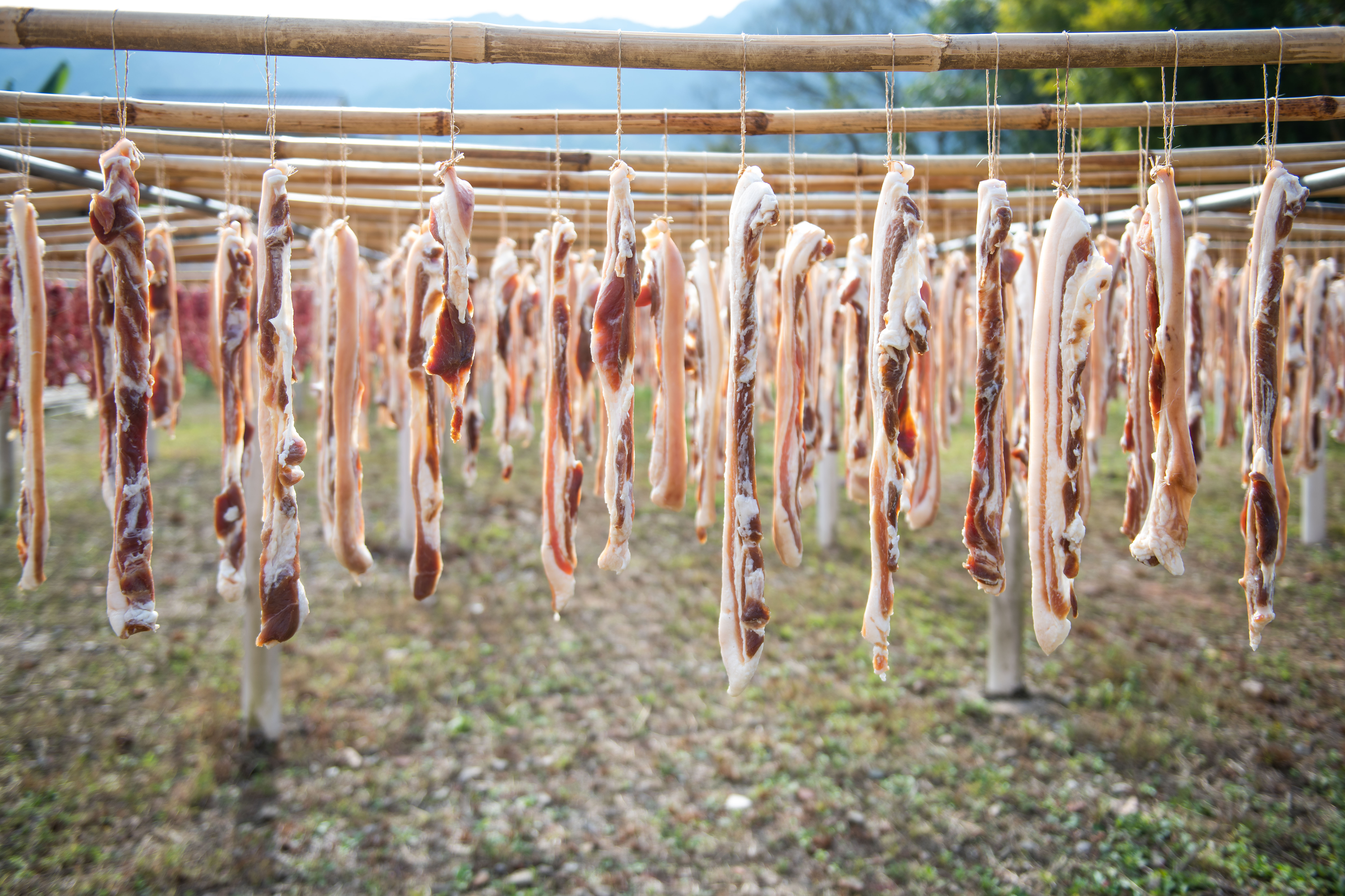 微信图片_20220101123119