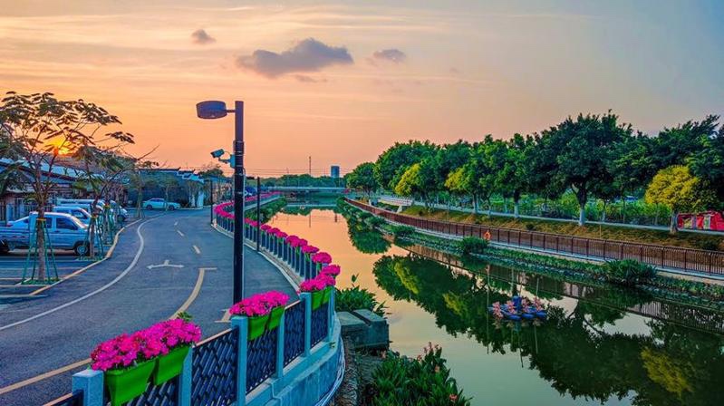 一脉碧水两岸繁花番禺钟村街胜石河周边美翻了