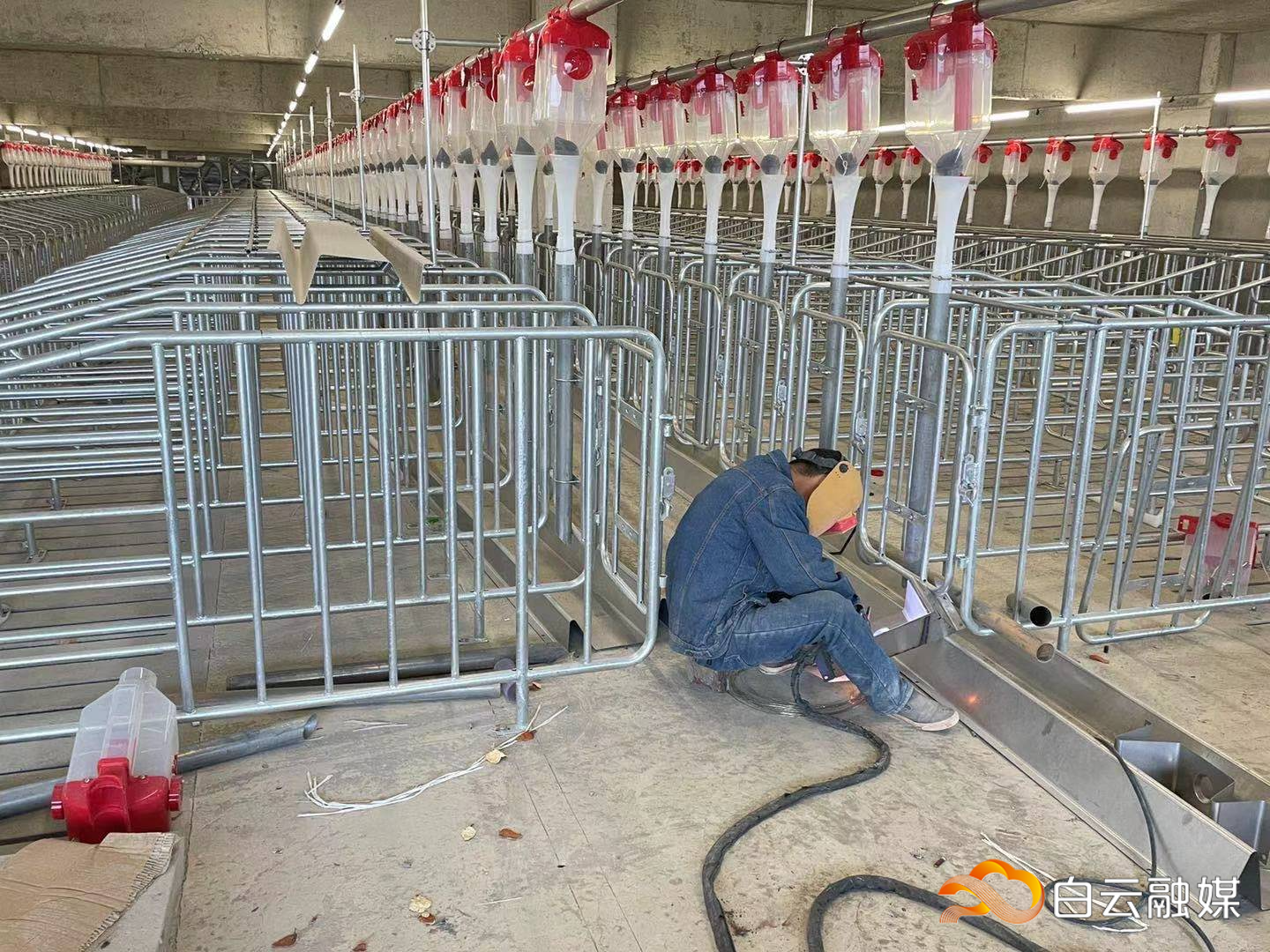 微信图片_20220111105245