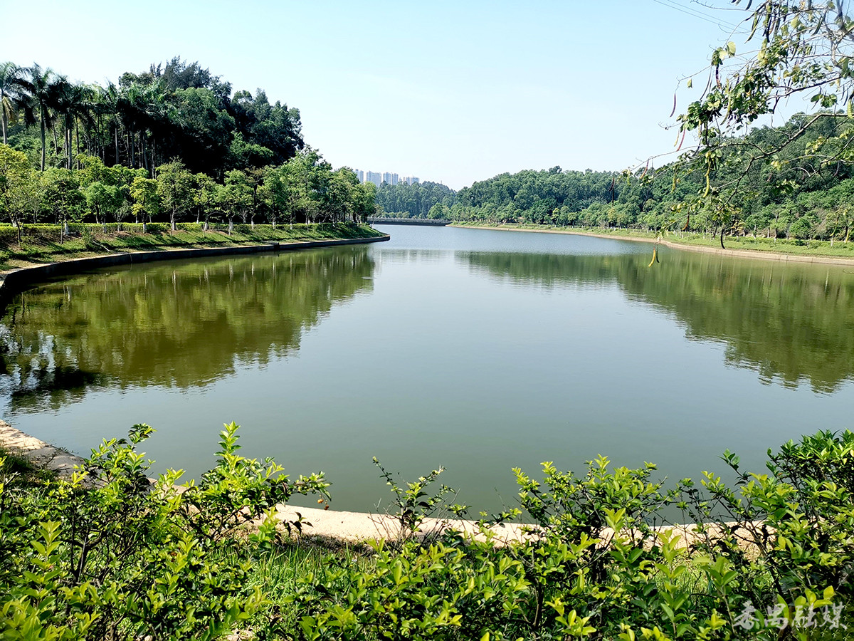 金山湖文化公园依山傍水绿道环绕