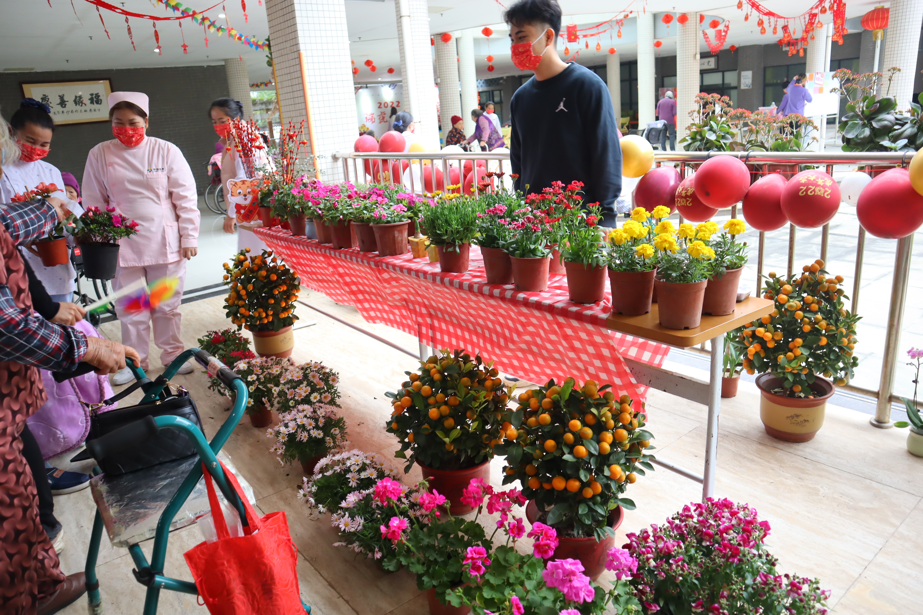 03 花卉区的漂亮花儿