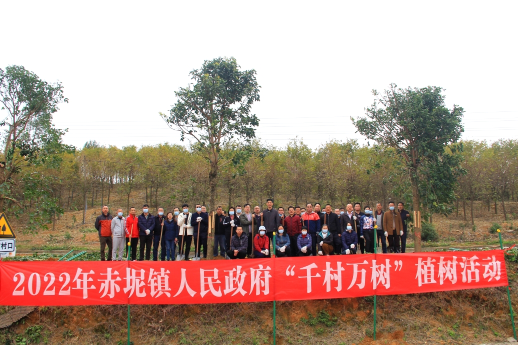 花都区赤坭镇在多地同步开展植树活动