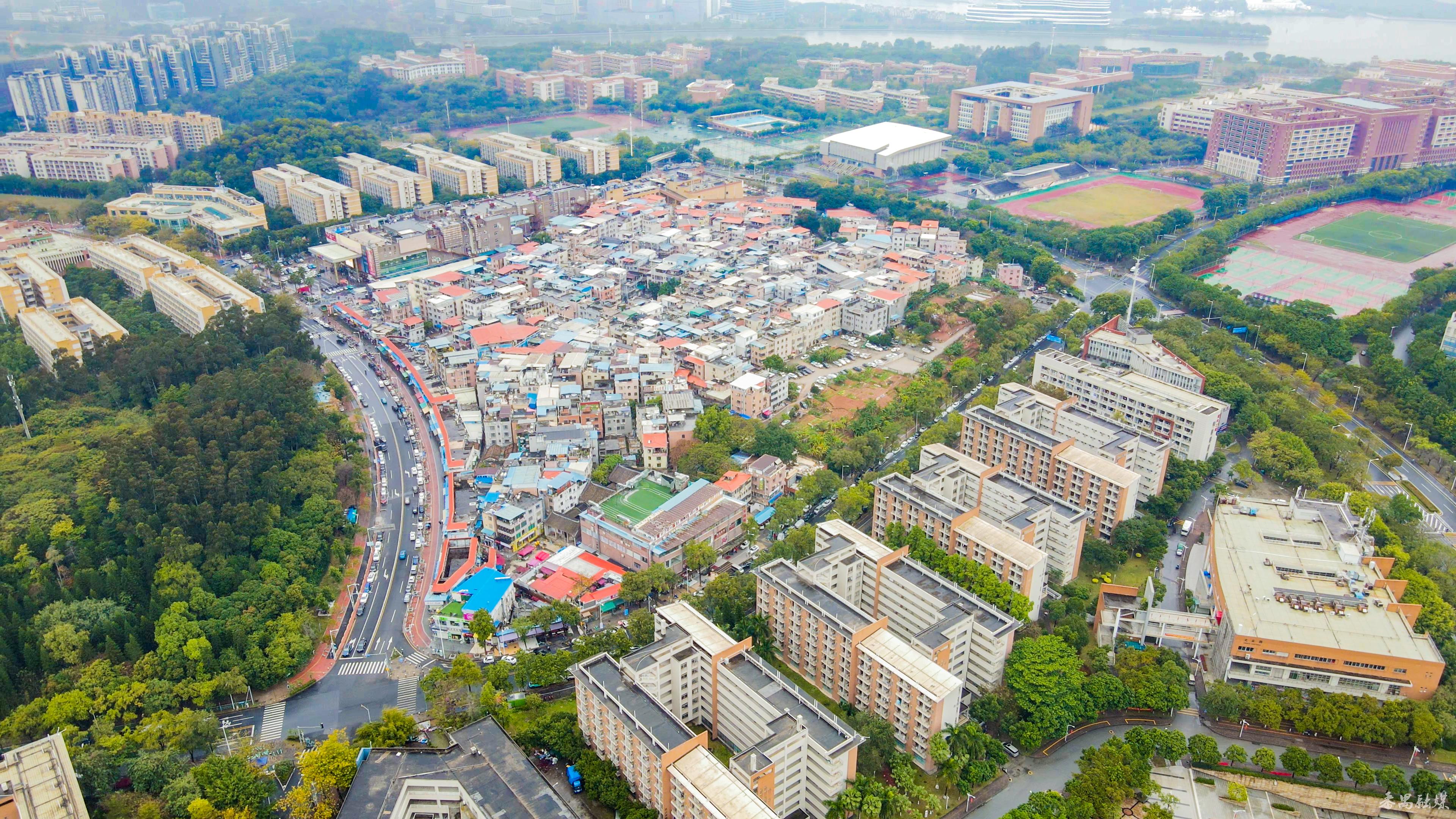 贝岗，隐藏在大学城里的宝藏村