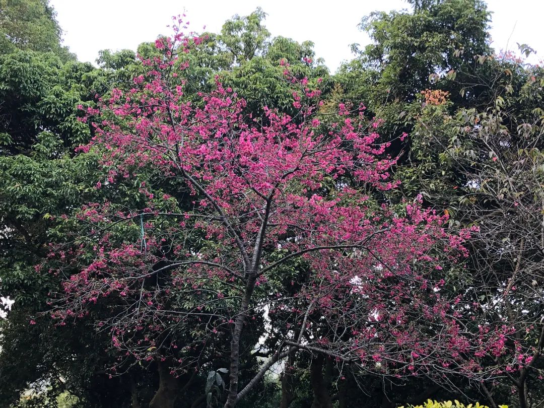 4bbae3c5355492a2070d4d367287c6a.jpg 图片