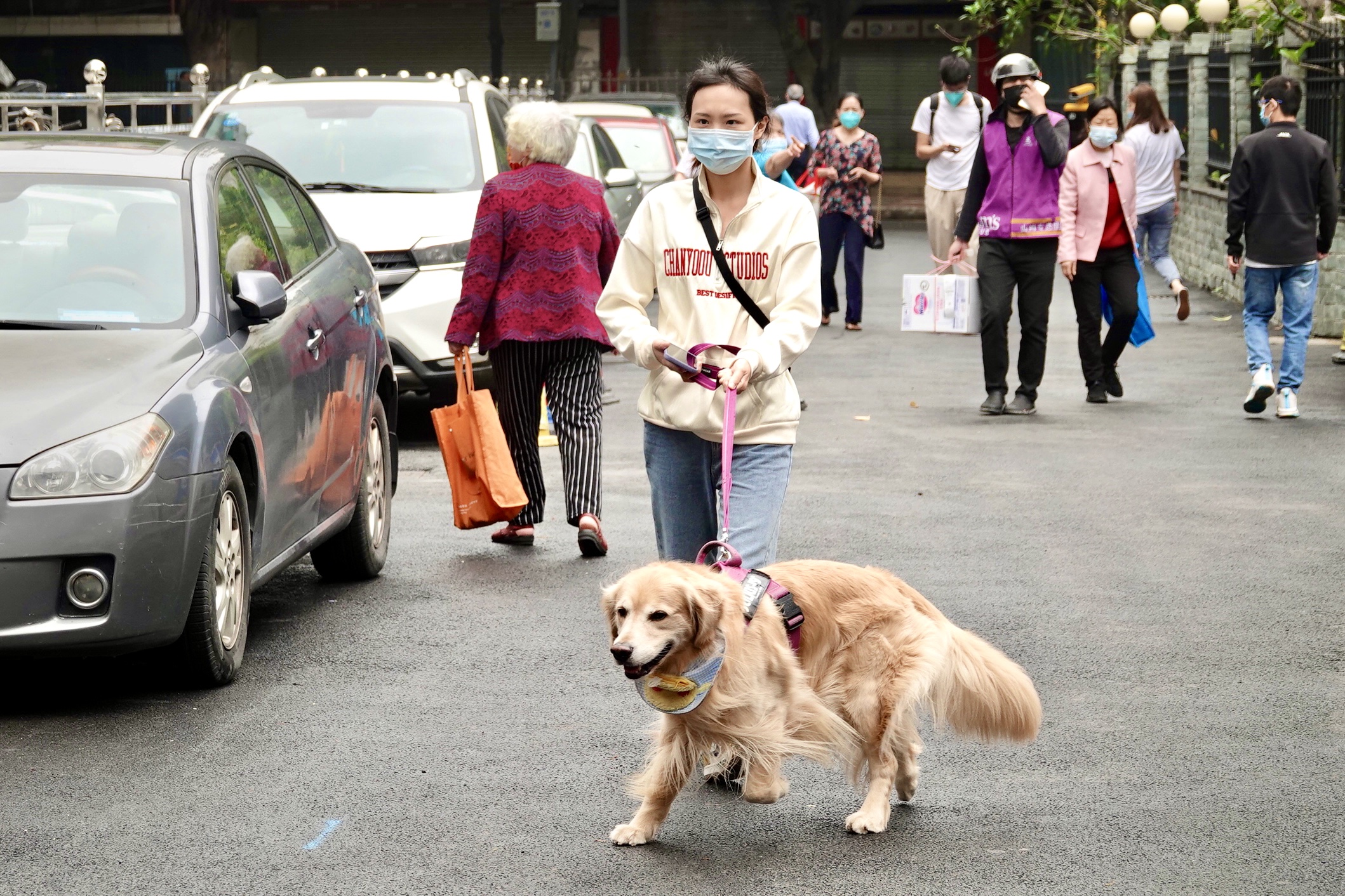解封居民深夜下楼遛狗社区4个专班组全方位服务居民