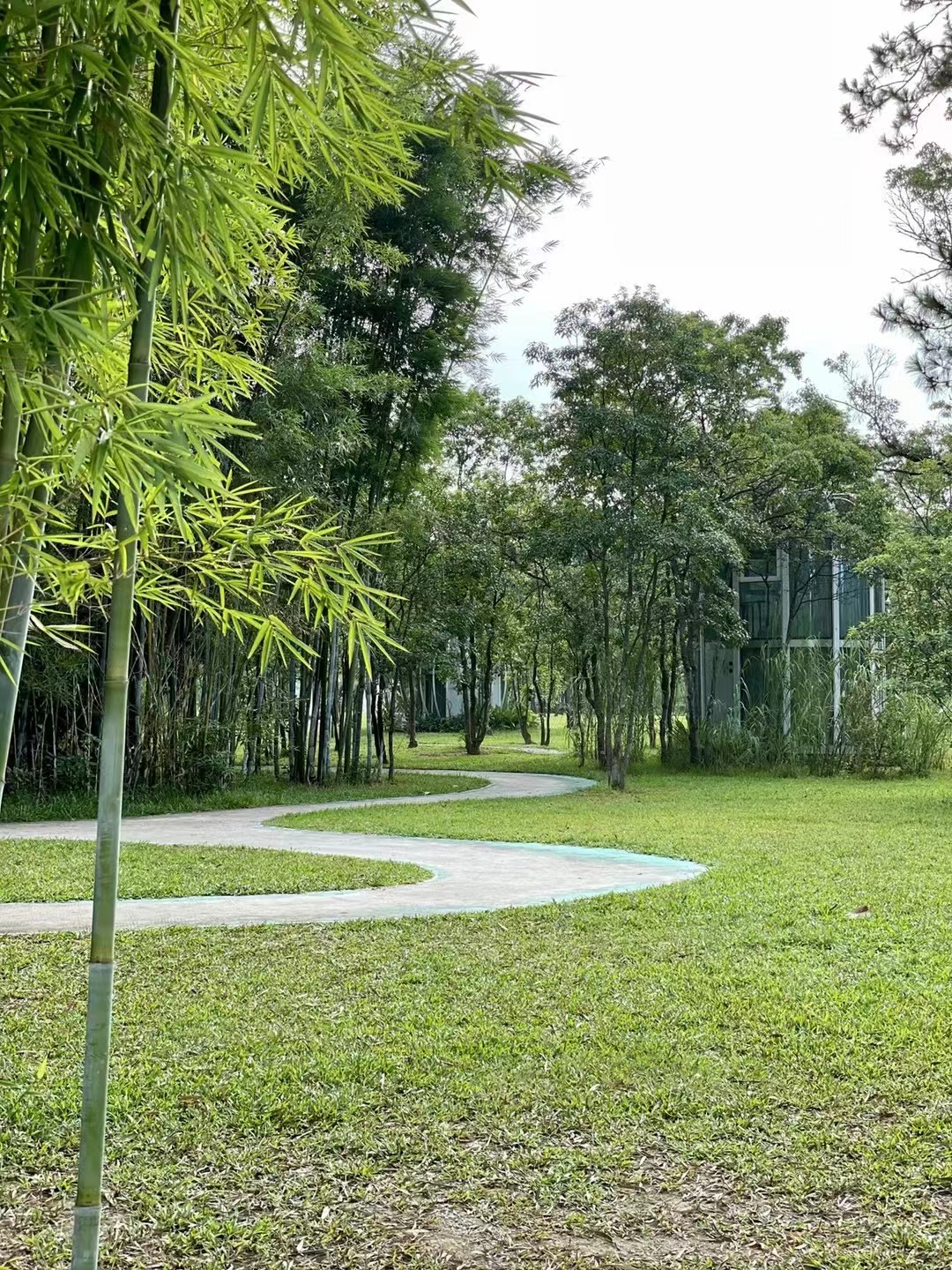 北纬23°8′森林营地2