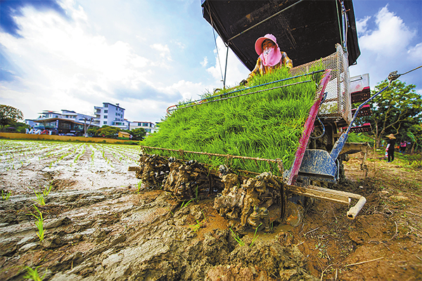 全自动插秧机。