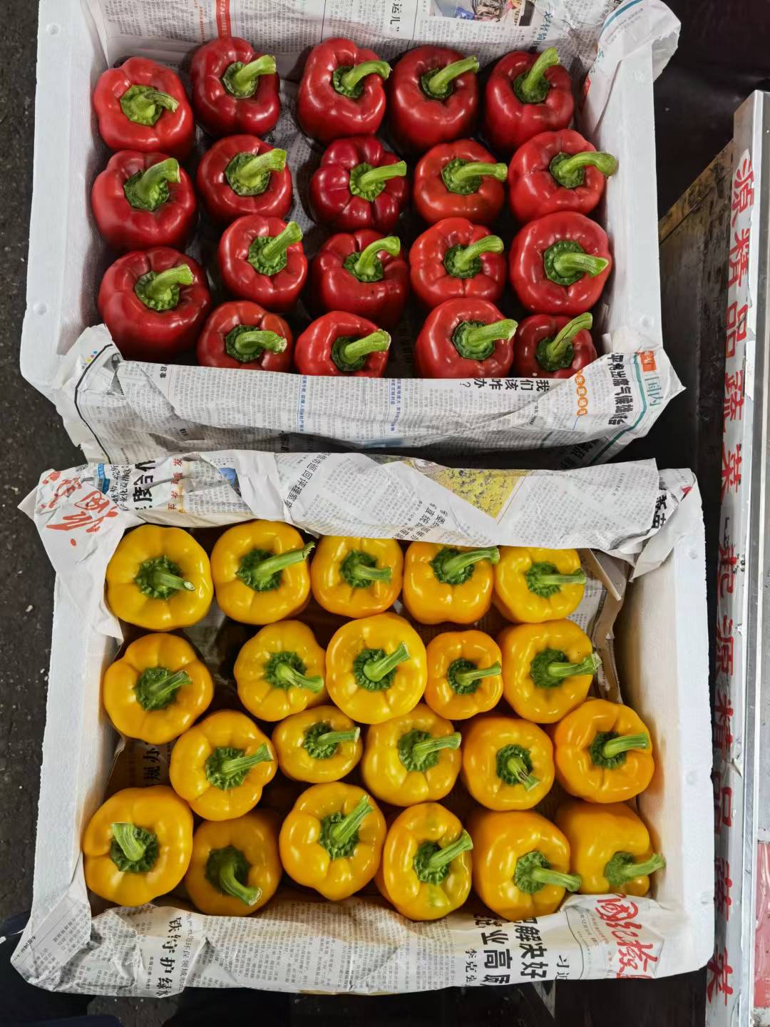 微信图片_20220410131257