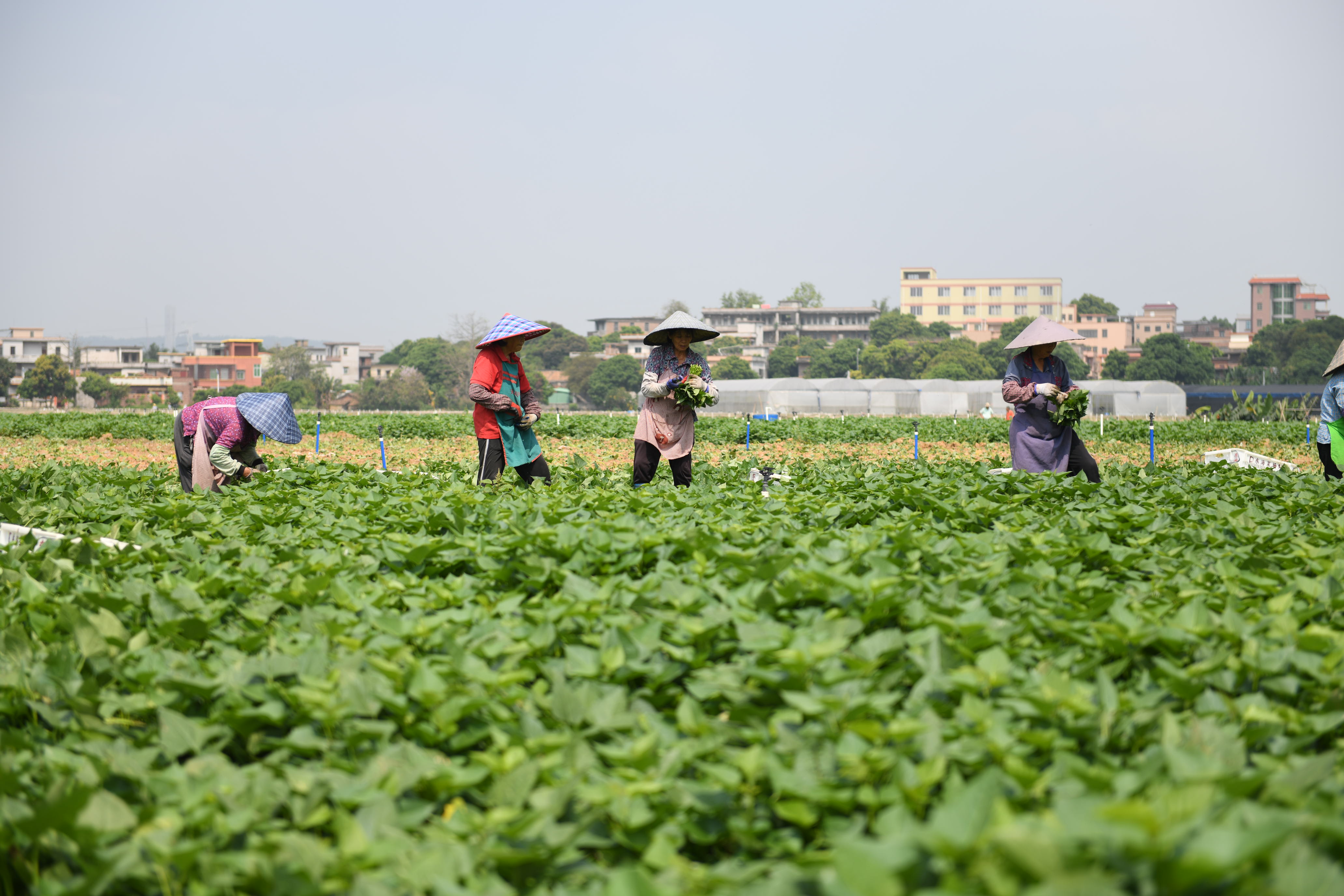 微信图片_20220411111049