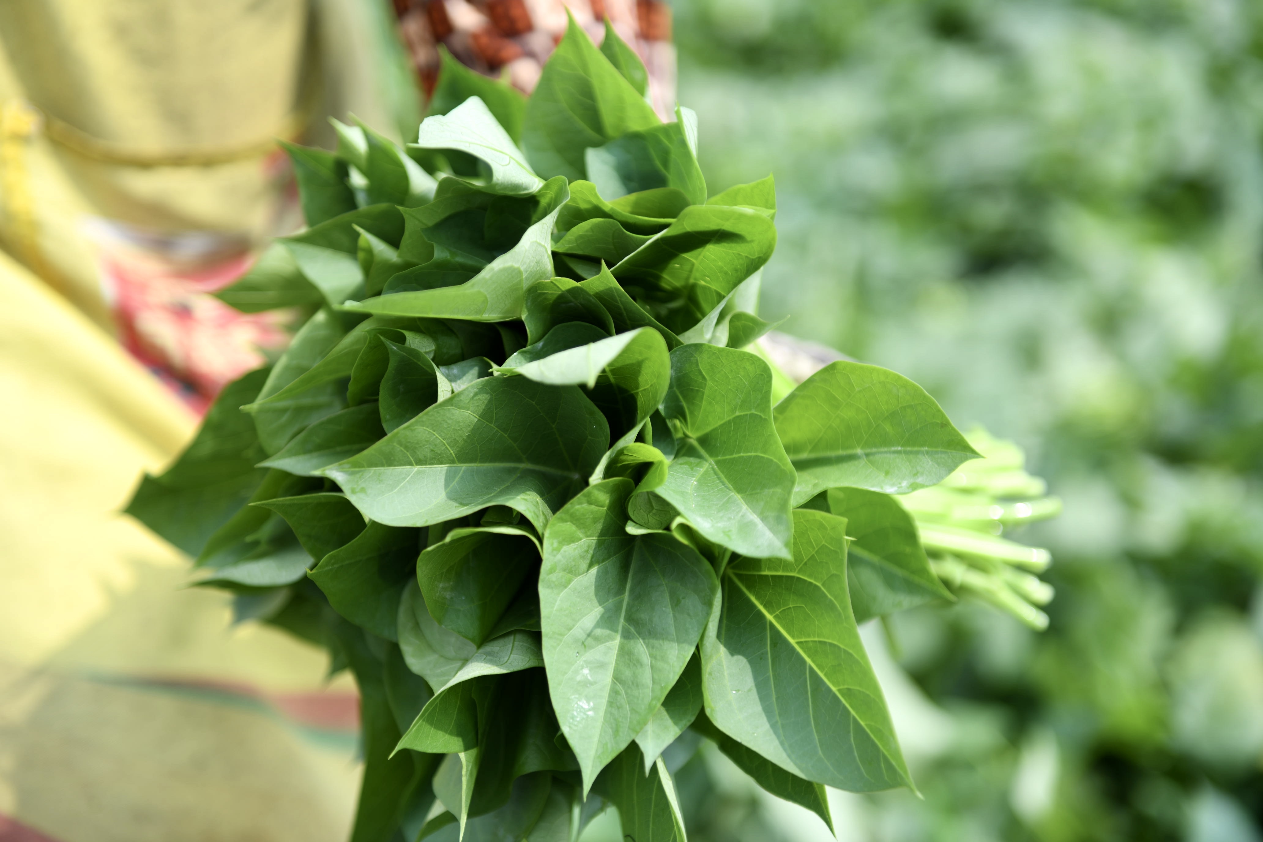 微信图片_20220411111103