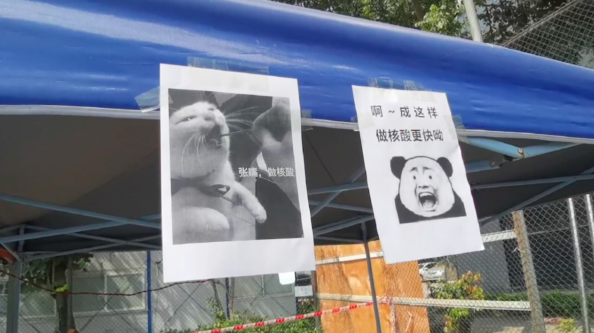 被核酸检测现场的表情包萌翻了