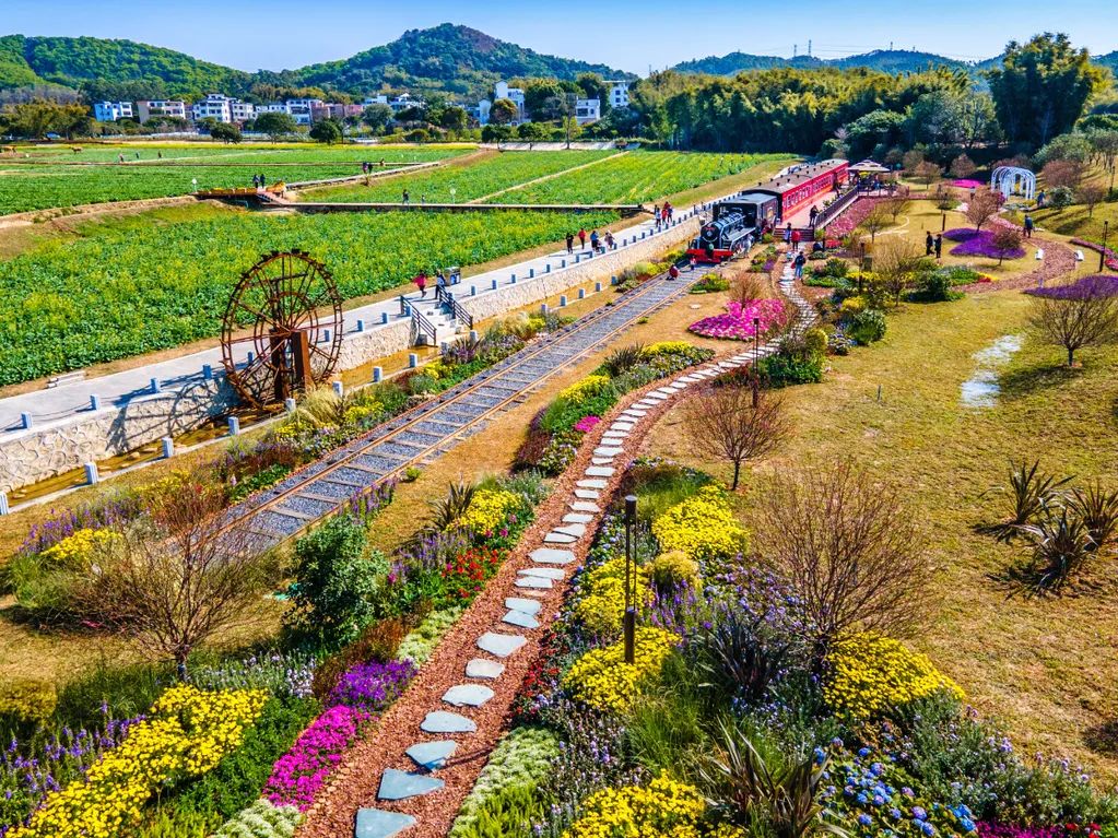 作品:花海田园 作者:何子安 电话:13822231555 地点:龙湖街迳下村 简介:乡村改造,休闲胜地。.jpg