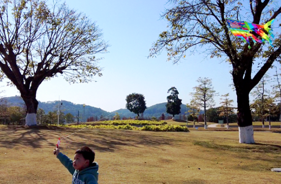 1651070053226073117.png image.png