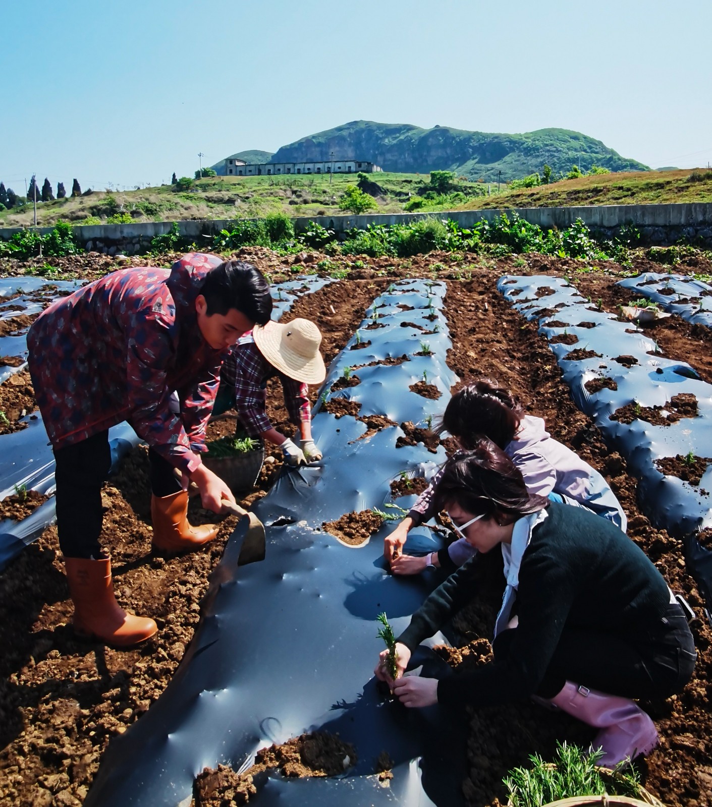 417446e40a5e174b3bf951ca9a9ceb5