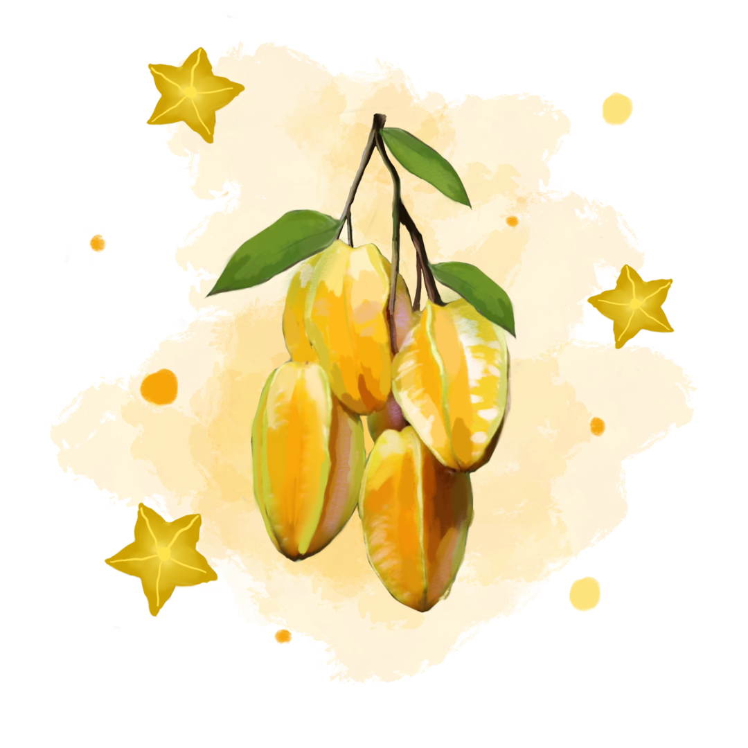 杨桃.png 图片