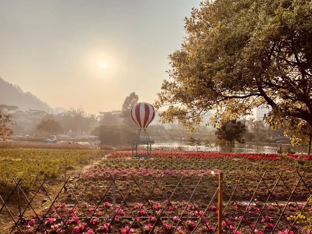 微信图片_20220520170001.jpg 图片