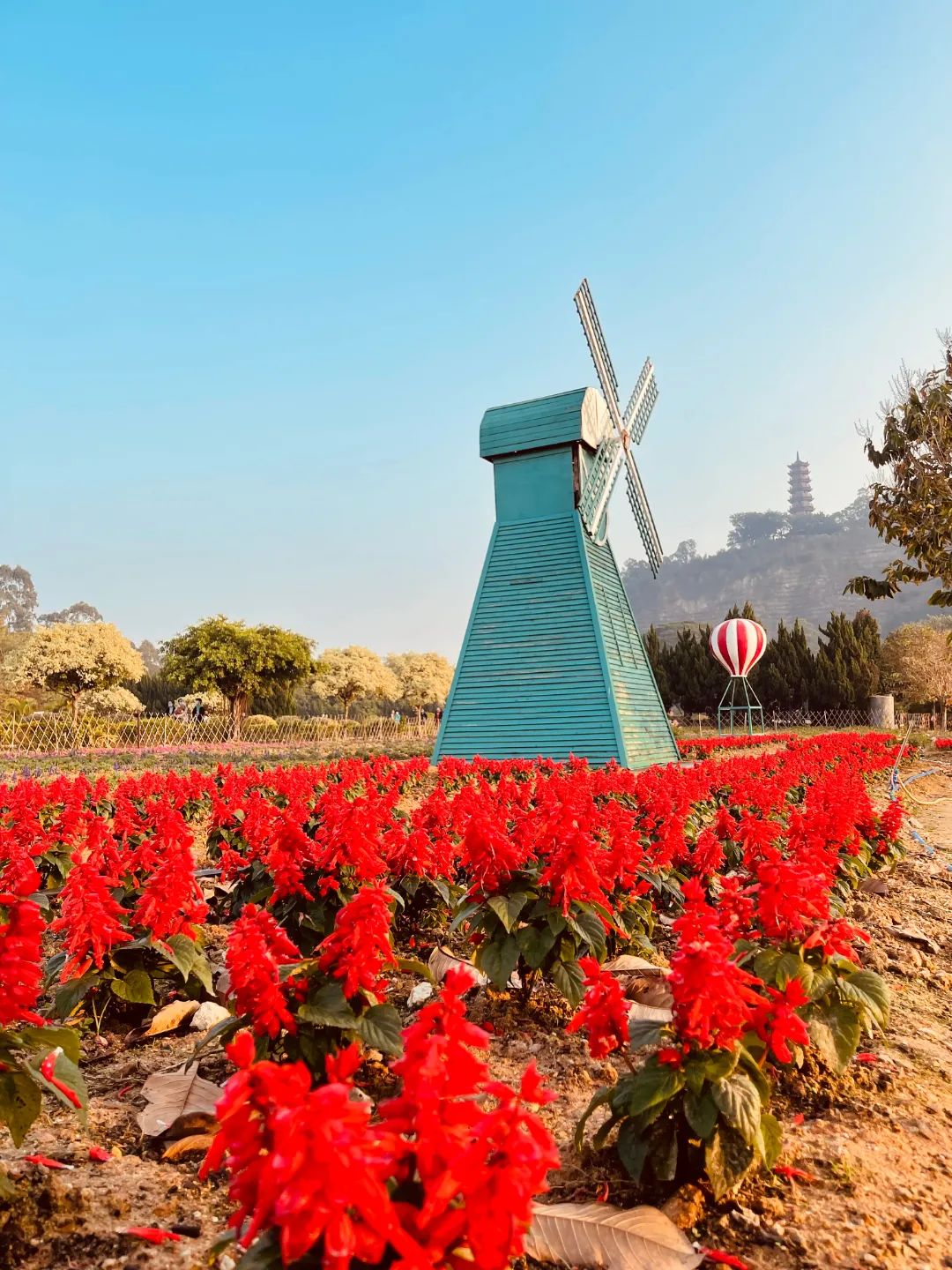 微信图片_20220520170009.jpg 图片