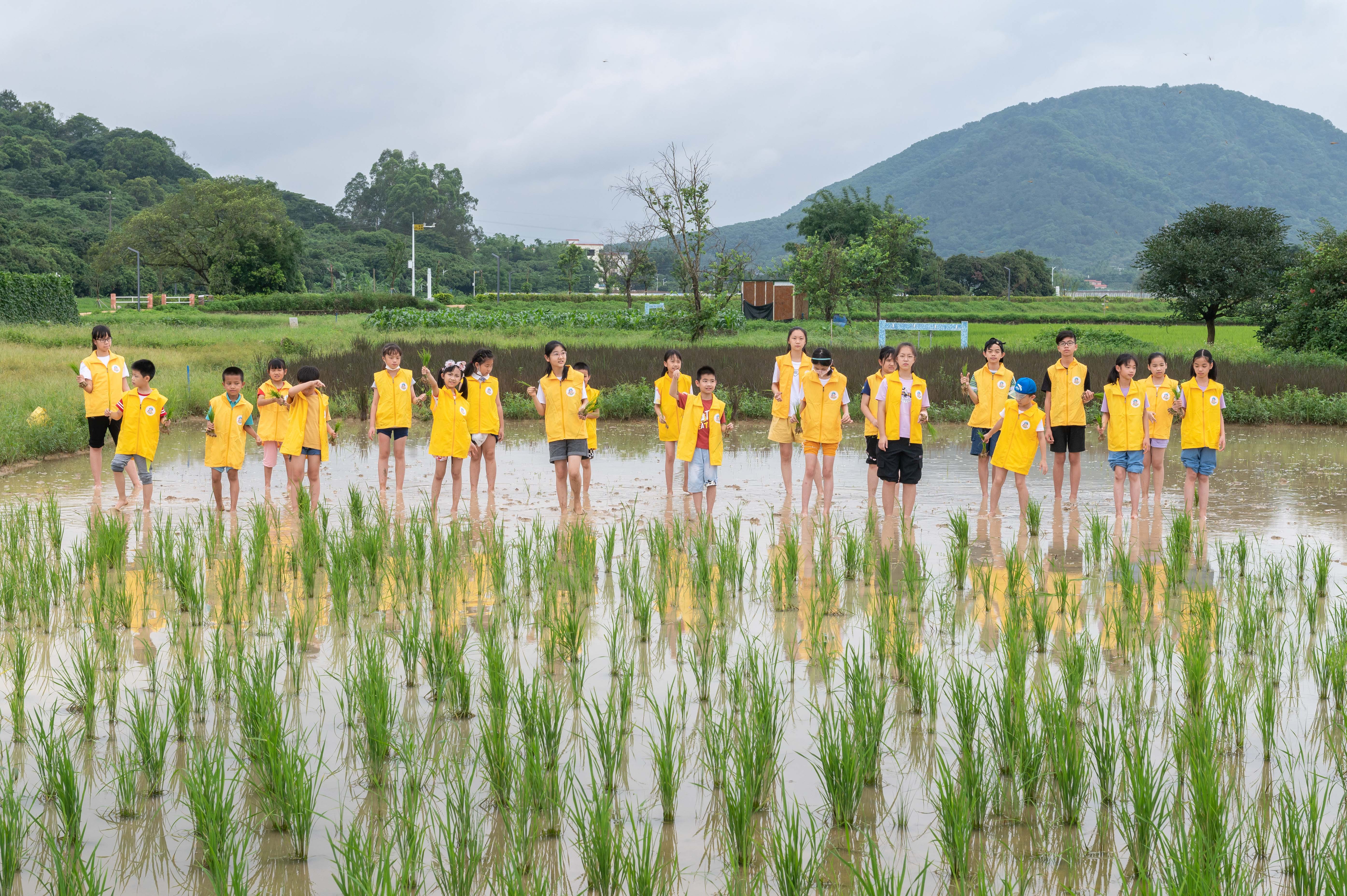 稻花香里学农忙,全国土地日研学活动圆满成功!