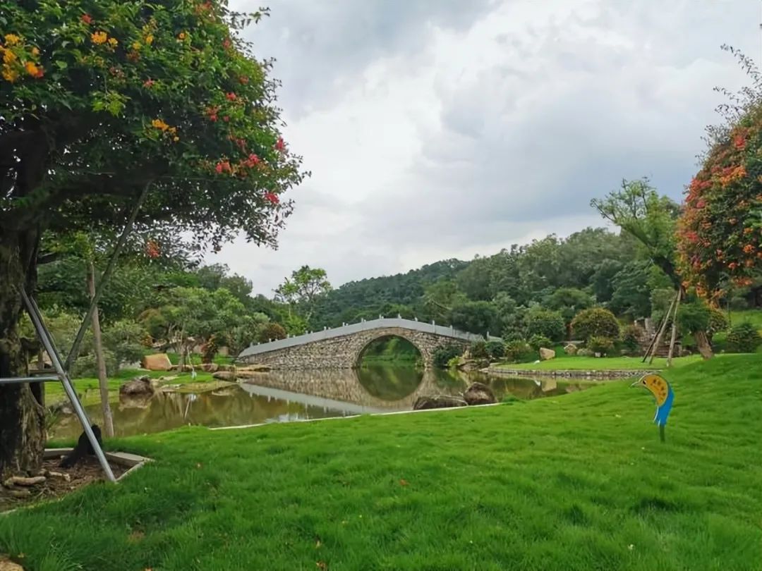 日本山梨縣自由行 - 富士花之都公園 - Pumpkinland