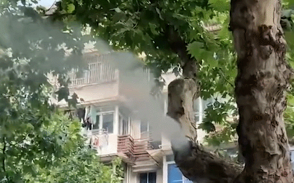 1657899887358000348.png 1.png