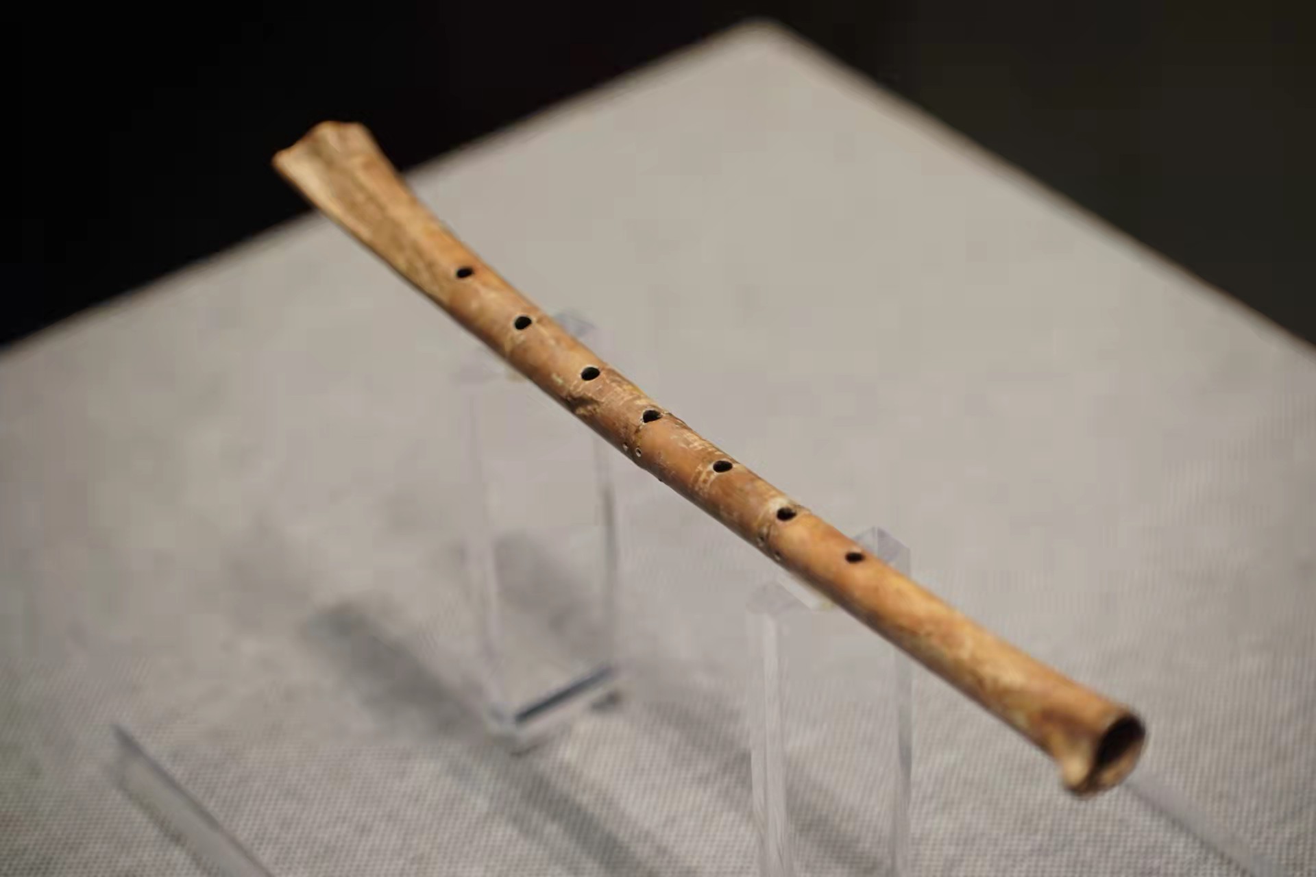 文物介绍——世界上最早的乐器，贾湖骨笛