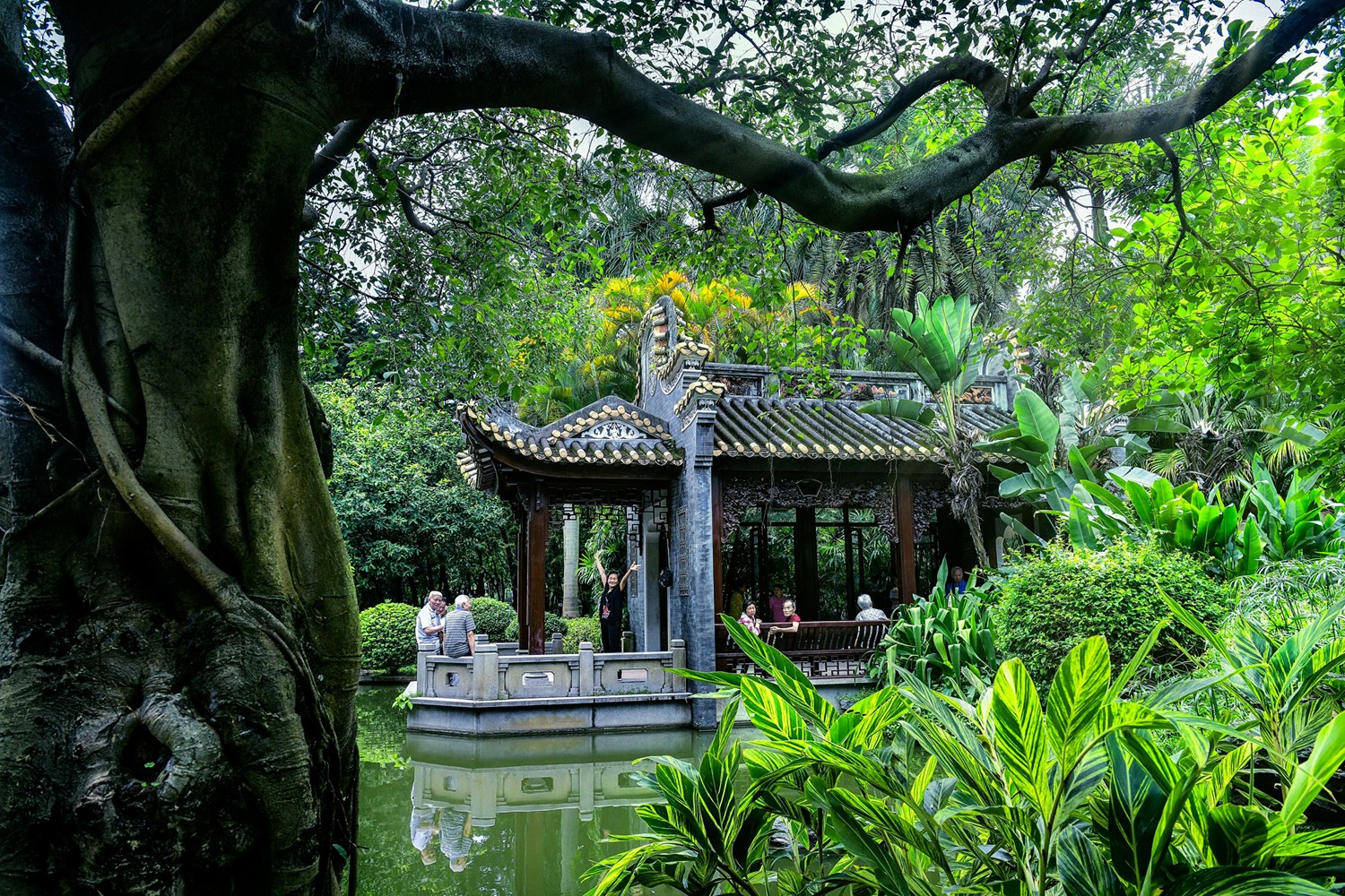 3 广州天河公园里，绿树婆娑，古色古香的石舫掩映其中，清幽别致。（摄影：张敏瑜）a.jpg
