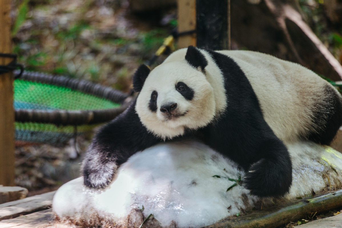 62dccbc9a310fd2bec98154f