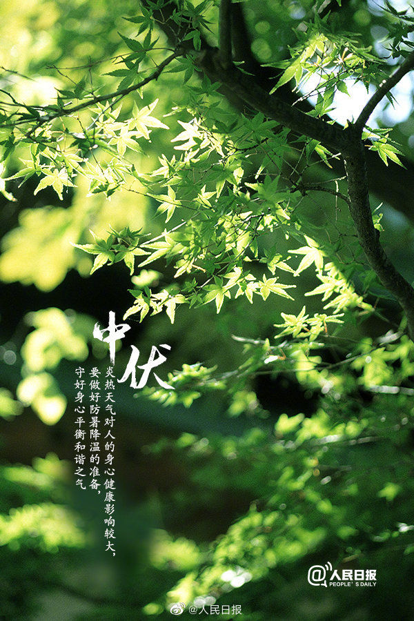 持续20天,暑伏天里最热的中伏天来了!