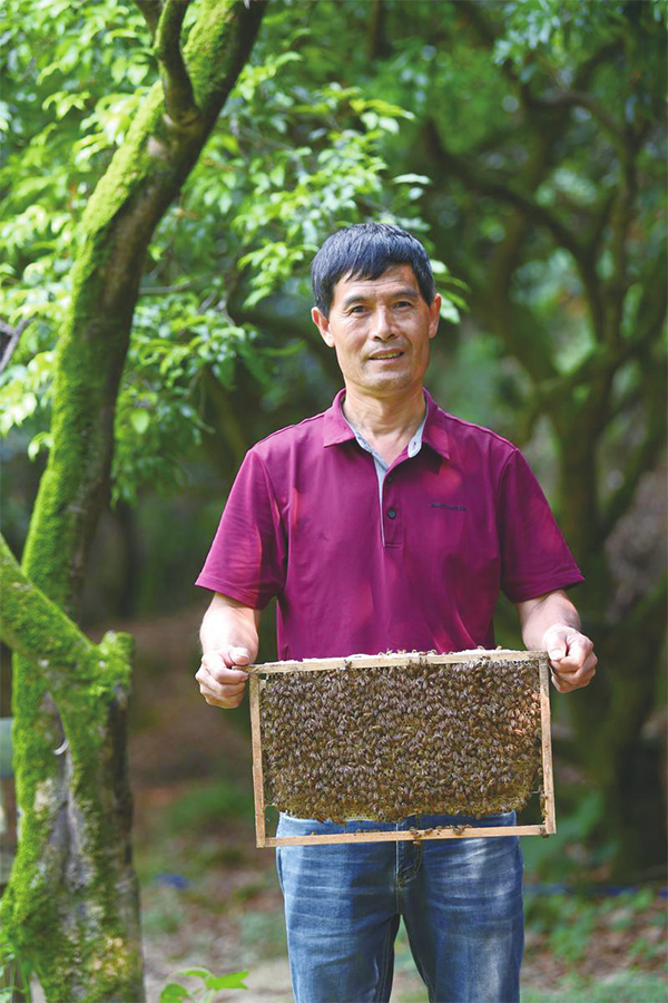 賢江村民劉熾波養蜂已逾20年,成為遠近聞名的養蜂專家.楊耀燁 攝