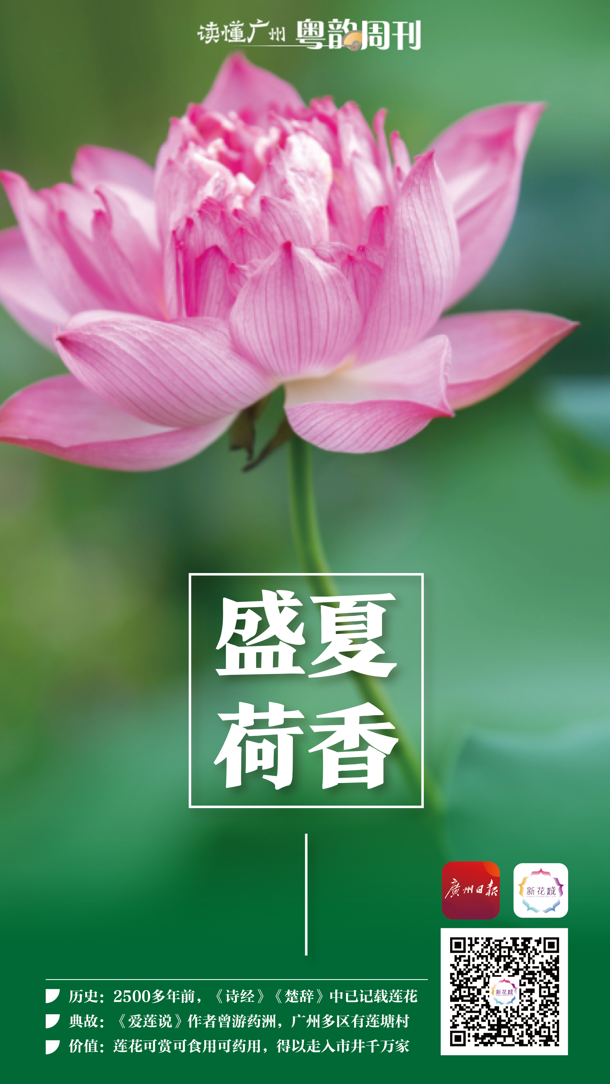 image_1659502746.580060