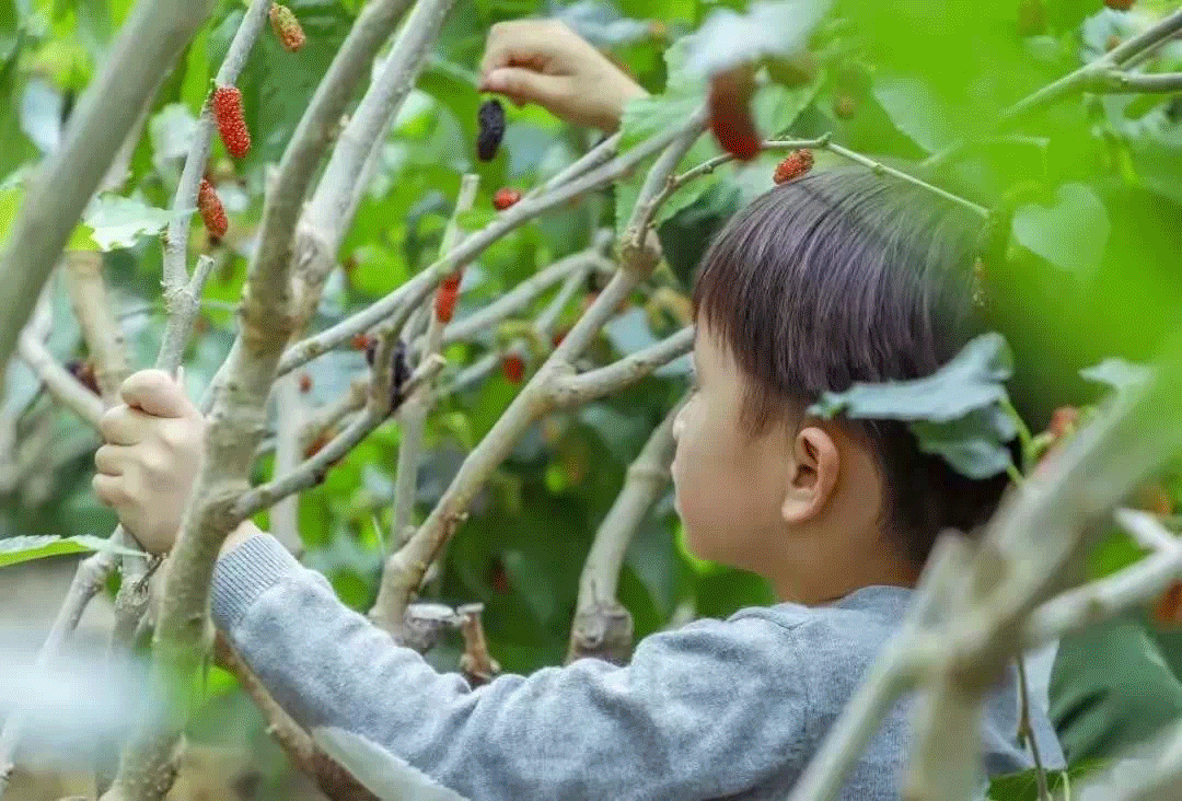 微信图片_20220613142650.gif 图片